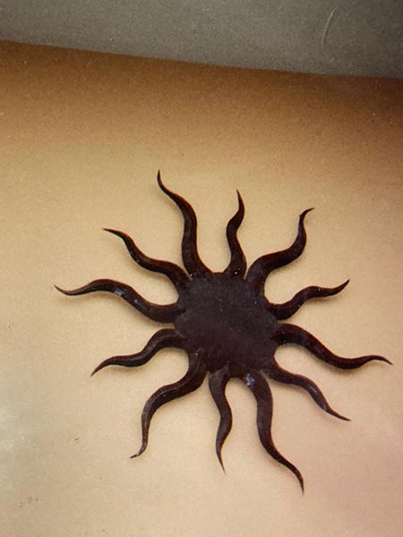 Ornamenti in ferro battuto Pavia